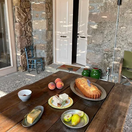Rindkocakoey Ayvacik (Canakkale)