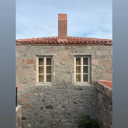 Rindkocakoey