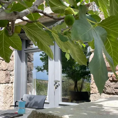 Rindkocakoey Homestay Ayvacik (Canakkale)
